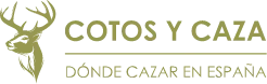 cotosycazalogin