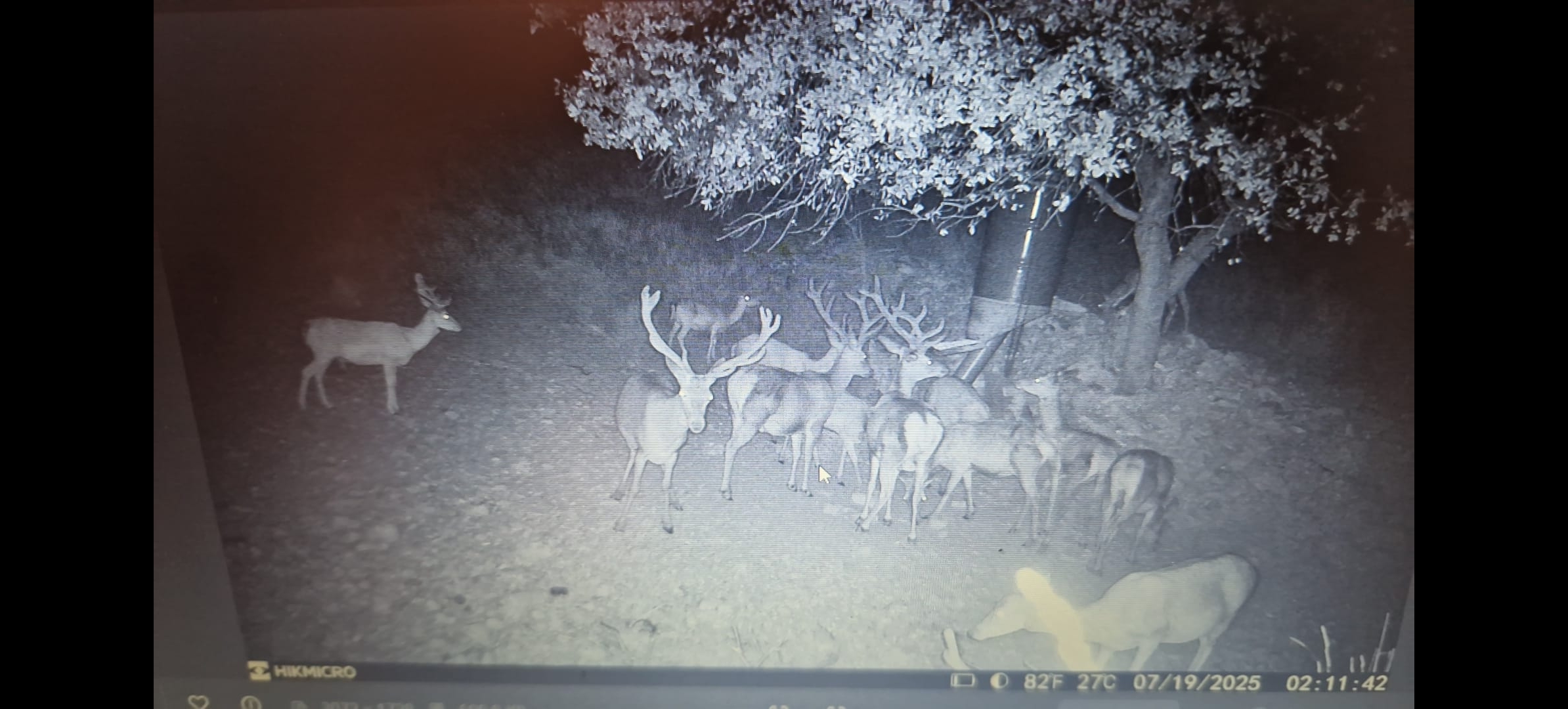 Screenshot_20260327_121122